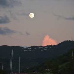 Moon