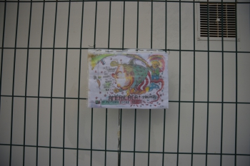 Filename=FAL_9482_resized.JPG
Filesize=1354KiB
Dimensions=2048x1366
Date added=May 04, 2025 FAL_9482_resized.JPG