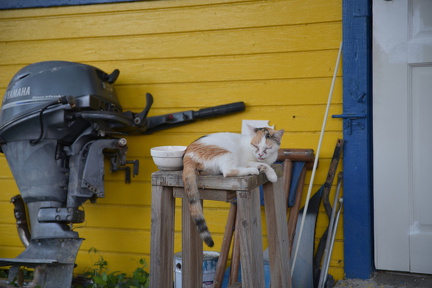 FAL 9689 resized.resized