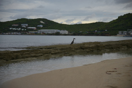 FAL 9497 resized.resized