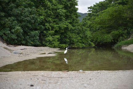 FAL 9492 resized.resized