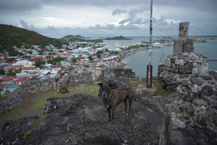 FAL 9367 resized.resized