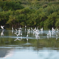 DSC 4164.resized