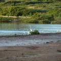 DSC 4158.resized