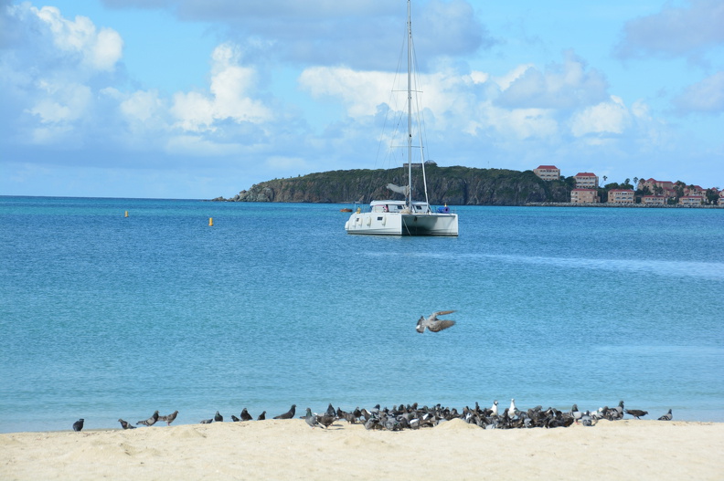DSC_3592.resized.JPG