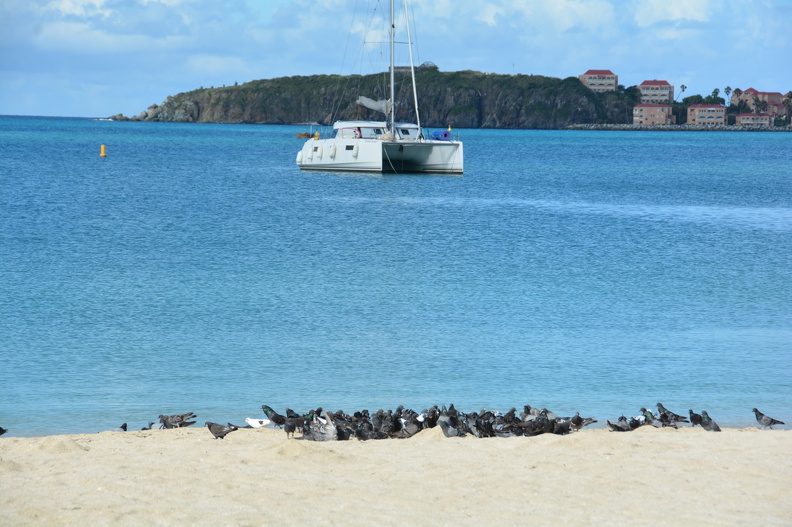 DSC_3591.resized.JPG