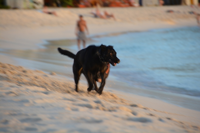DSC_2757.resized.JPG