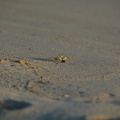 DSC 2692.resized