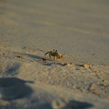 DSC 2679.resized