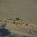 DSC 2678.resized