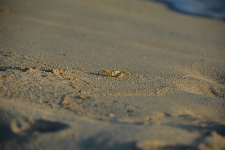 DSC_2670.resized.JPG