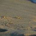 DSC 2670.resized