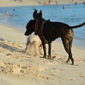 DSC 2587.resized
