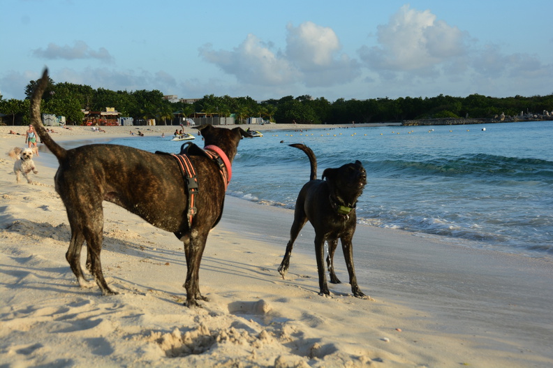DSC_2574.resized.JPG