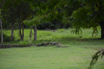 DSC 0417.resized