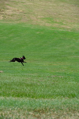 DSC 0296.resized