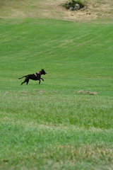 DSC 0295.resized