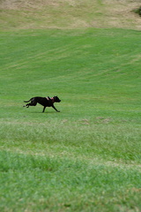 DSC 0294.resized