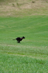 DSC 0293.resized