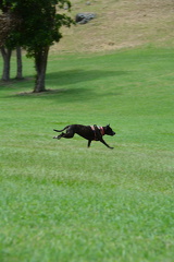 DSC 0292.resized