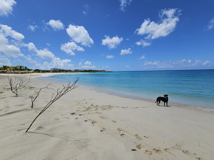 20240728 110349.resized