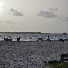 20240720 062657.resized