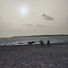 20240720 062629.resized