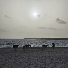 20240720 062605.resized