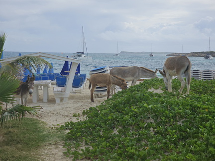 20240421 080941.resized