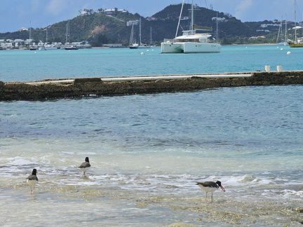 20240218 123458.resized