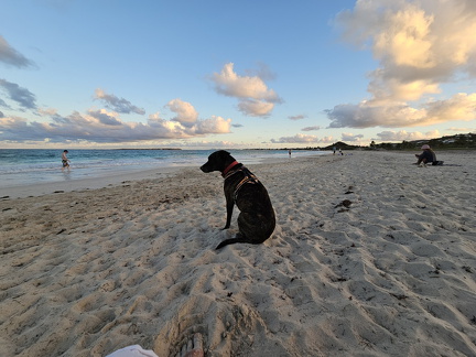 20231229 173217.resized