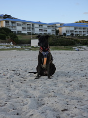 20231229 171429.resized