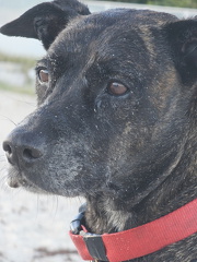 20231229 171022.resized