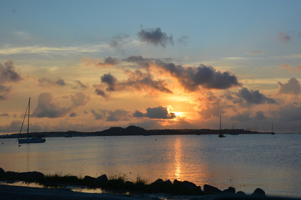 DSC 1128
