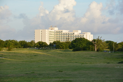 DSC 8496