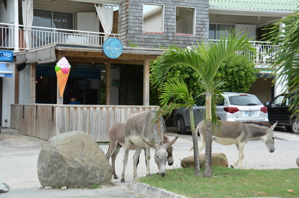 DSC 0435