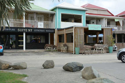 DSC 0428