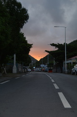 DSC 0445