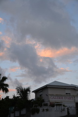 DSC 0443