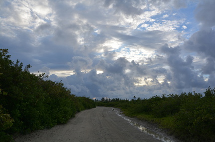 DSC 0811
