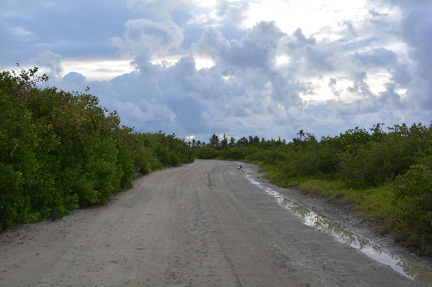 DSC 0810