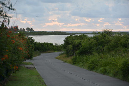 DSC 0794