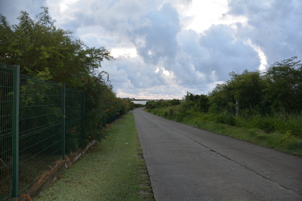 DSC 0792
