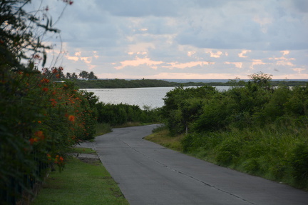 DSC 0793