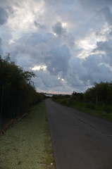 DSC 0789