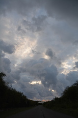 DSC 0791
