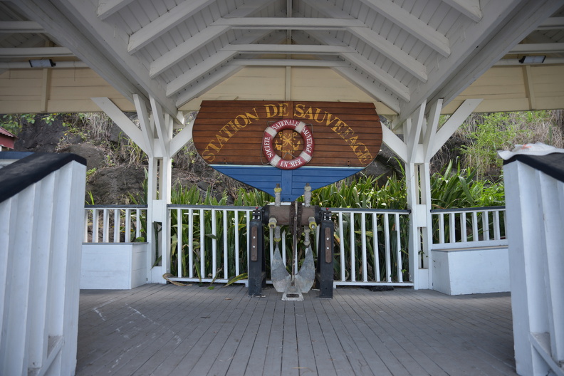 FAL_9420_resized.JPG
