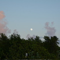 DSC 2813