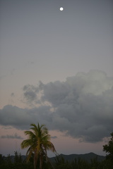 FAL 7259 resized