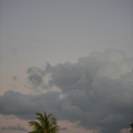 FAL 7259 resized